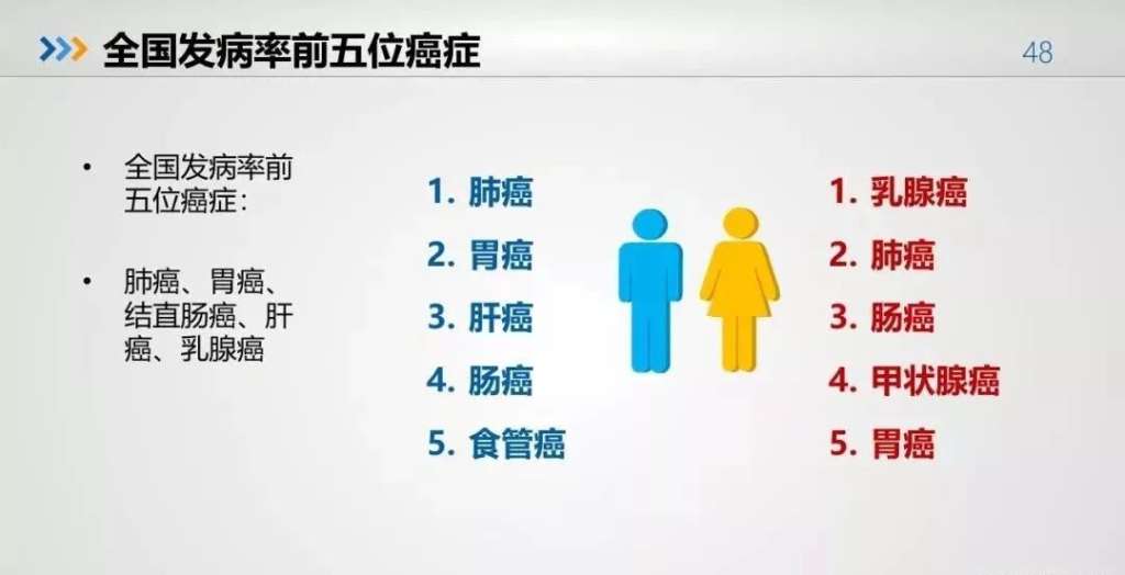 https://mmbiz.qpic.cn/mmbiz_jpg/K261SaWJtXdCBZYuNyHSW1W3Jhx9bhD6JanTRmK3OhMicd4Sib3mCIMicRrFrggfWQqjhr5X8qynOKodylrsCfIibQ/640?wx_fmt=jpeg